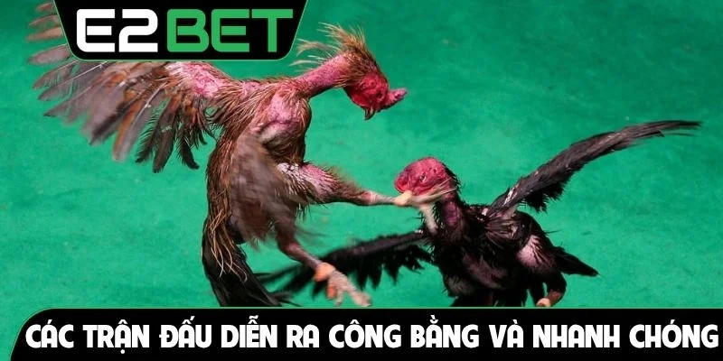 Các trận đấu diễn ra công bằng và nhanh chóng