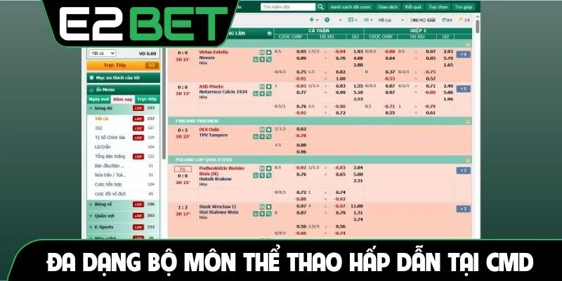Đa dạng bộ môn thể thao hấp dẫn tại CMD