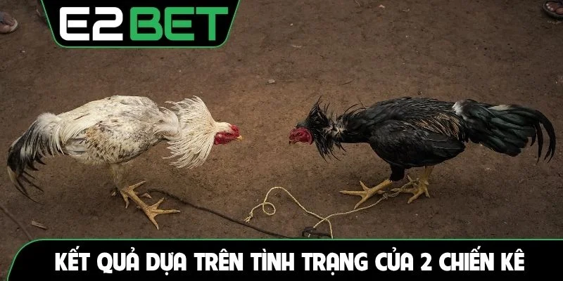 Kết quả thắng thua dựa trên tình trạng của 2 chiến kê